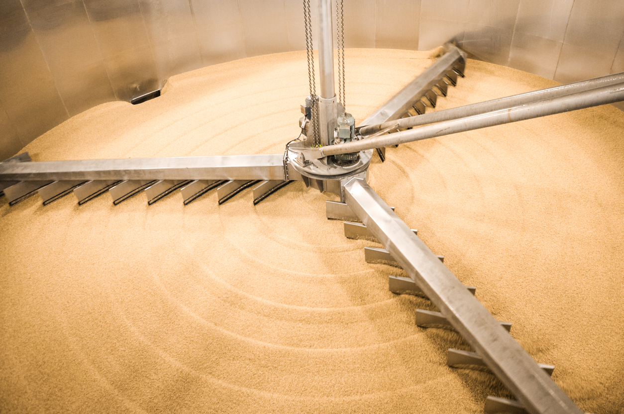 During the steeping process, the malt grain begins to germinate.